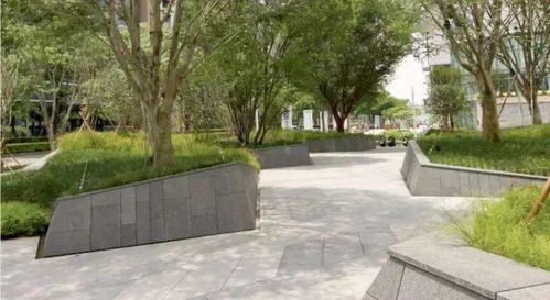 植物景觀丨這些樹種出來的藝術